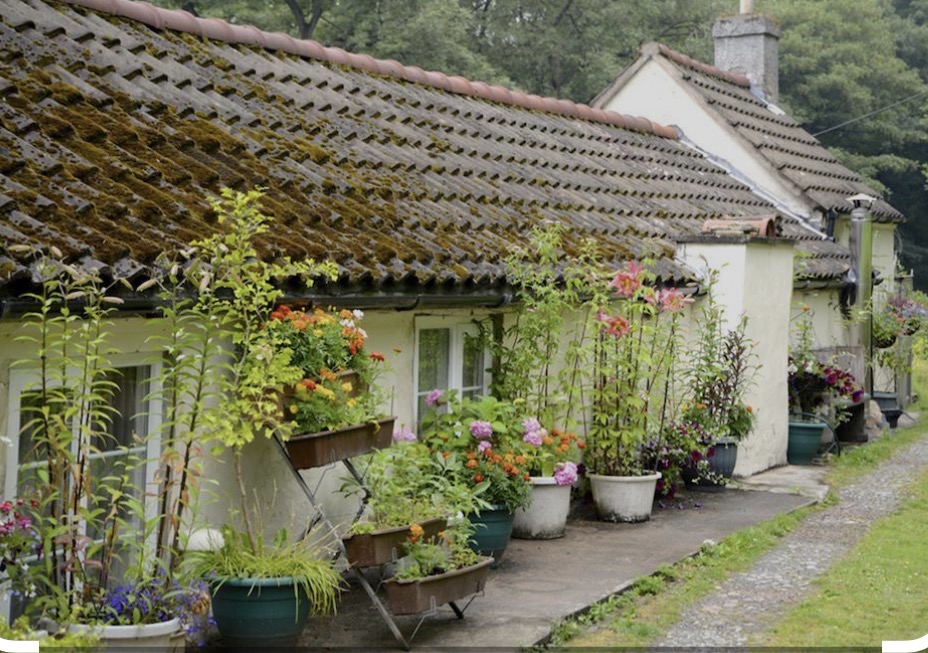 Ladywood House Bed & Breakfast