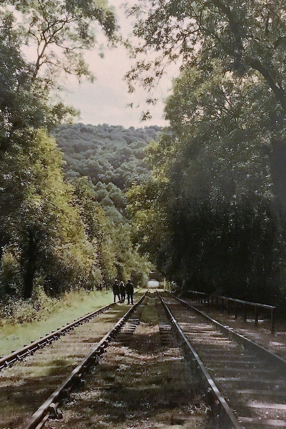 The relaid twin tracks run straight through the trees in this present-day photograph. Look closely and you'll notice these rails are a careful reconstruction, laid on the original alignment surveyed decades earlier — a faithful echo of the working line rather than a museum invention.