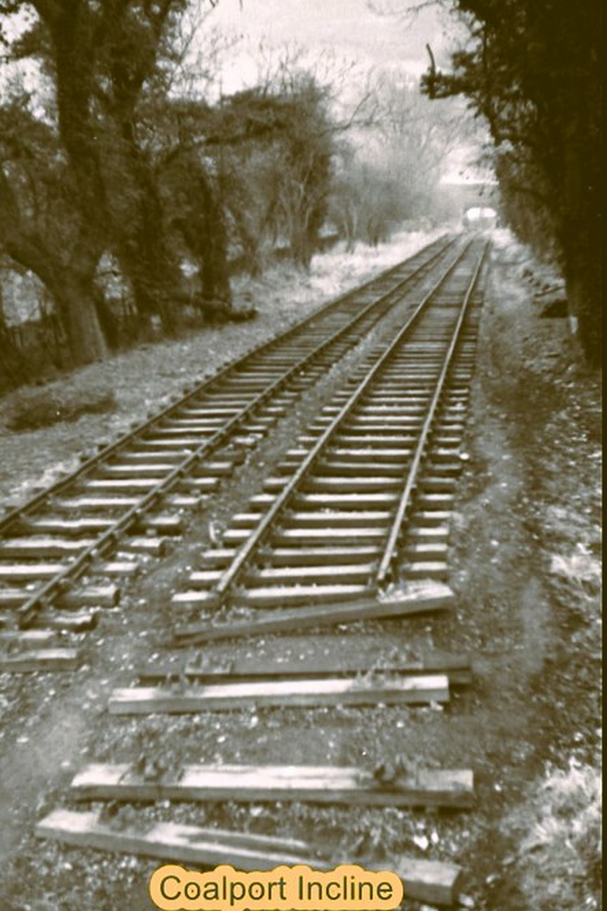 Simply captioned “Coalport Incline”, this archive print shows twin tracks running away into the trees, the two rails a deliberate piece of design: a loaded boat descending counterbalanced an empty one climbing, sparing the winding engine much of its work. The photograph itself carries no date, so it is best placed generally within the incline's operating years.