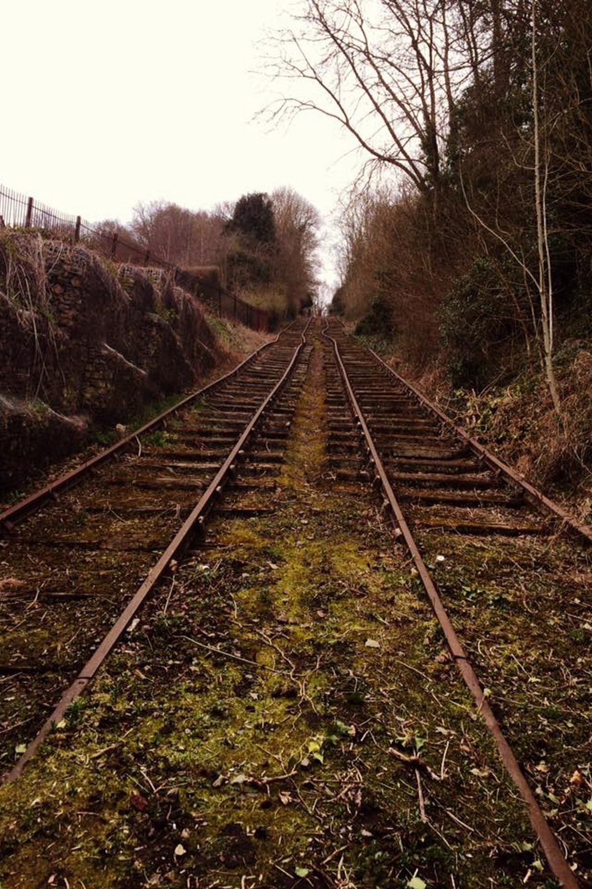 The tracks climb the wooded hillside, sunlight breaking through the canopy in this present-day photograph. It's a quiet walk now, popular with visitors, and arguably one of the best short climbs in the whole Gorge — though little in this peaceful scene hints at the noise and labour once heard here.
